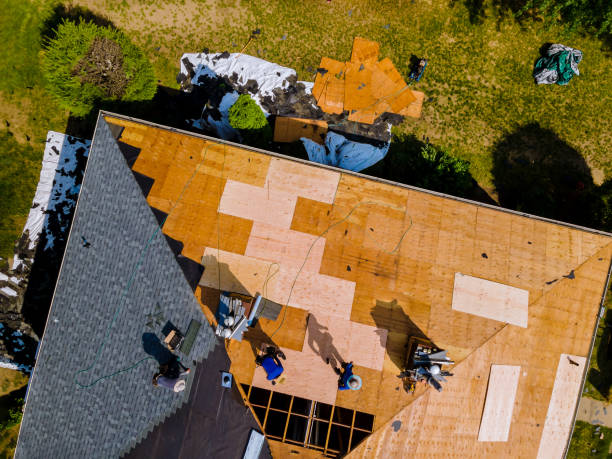 Best Commercial Roofing Services  in Roanoke, AL