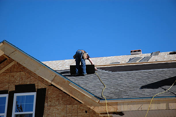 Best Storm Damage Roof Repair  in Roanoke, AL