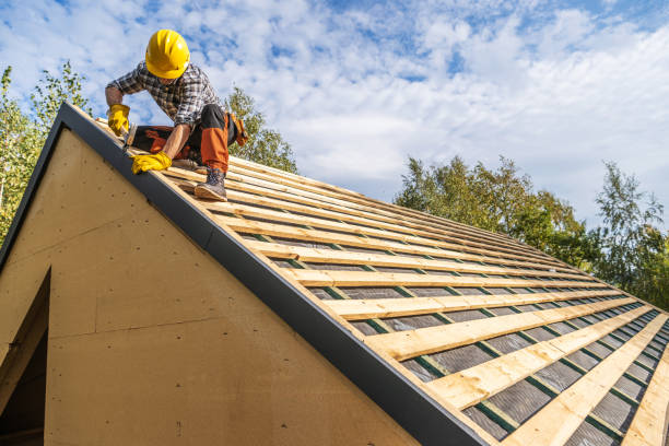 Best Roof Maintenance Services  in Roanoke, AL