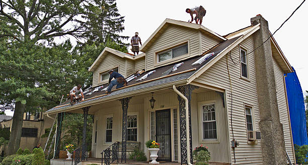 Best Gutter Installation and Roofing  in Roanoke, AL
