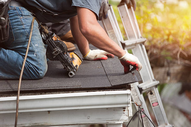 Best Shingle Roofing Installation  in Roanoke, AL