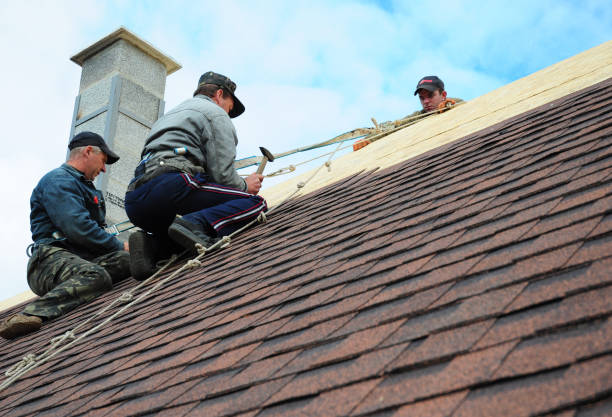 Best Roof Restoration Services  in Roanoke, AL